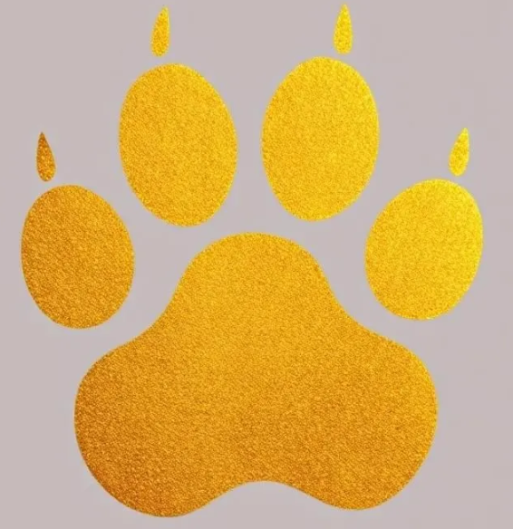 Paws
